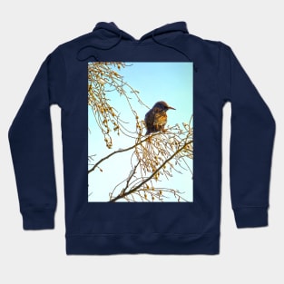 Wren on a Winter Branch Hoodie